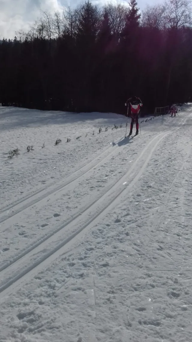 V BIESZCZADZKI BIEG NARCIARSKI – TROPEM ŻUBRA 9.02.2019 r. MUCZNE