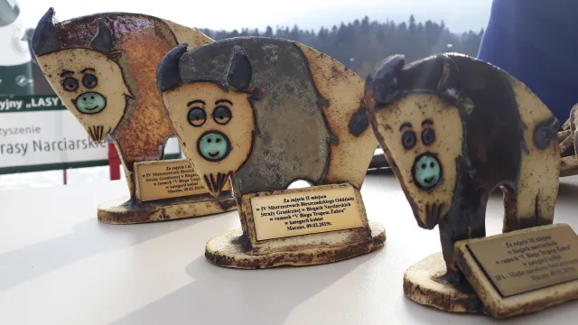 V BIESZCZADZKI BIEG NARCIARSKI – TROPEM ŻUBRA 9.02.2019 r. MUCZNE